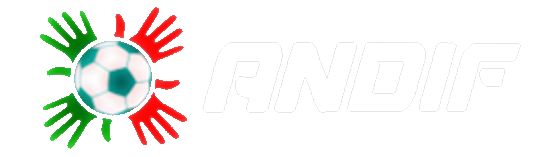 Logo da Associação Nacional de Dirigentes de Futebol